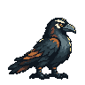 Rust Rook's raven standing upright and looking to the right